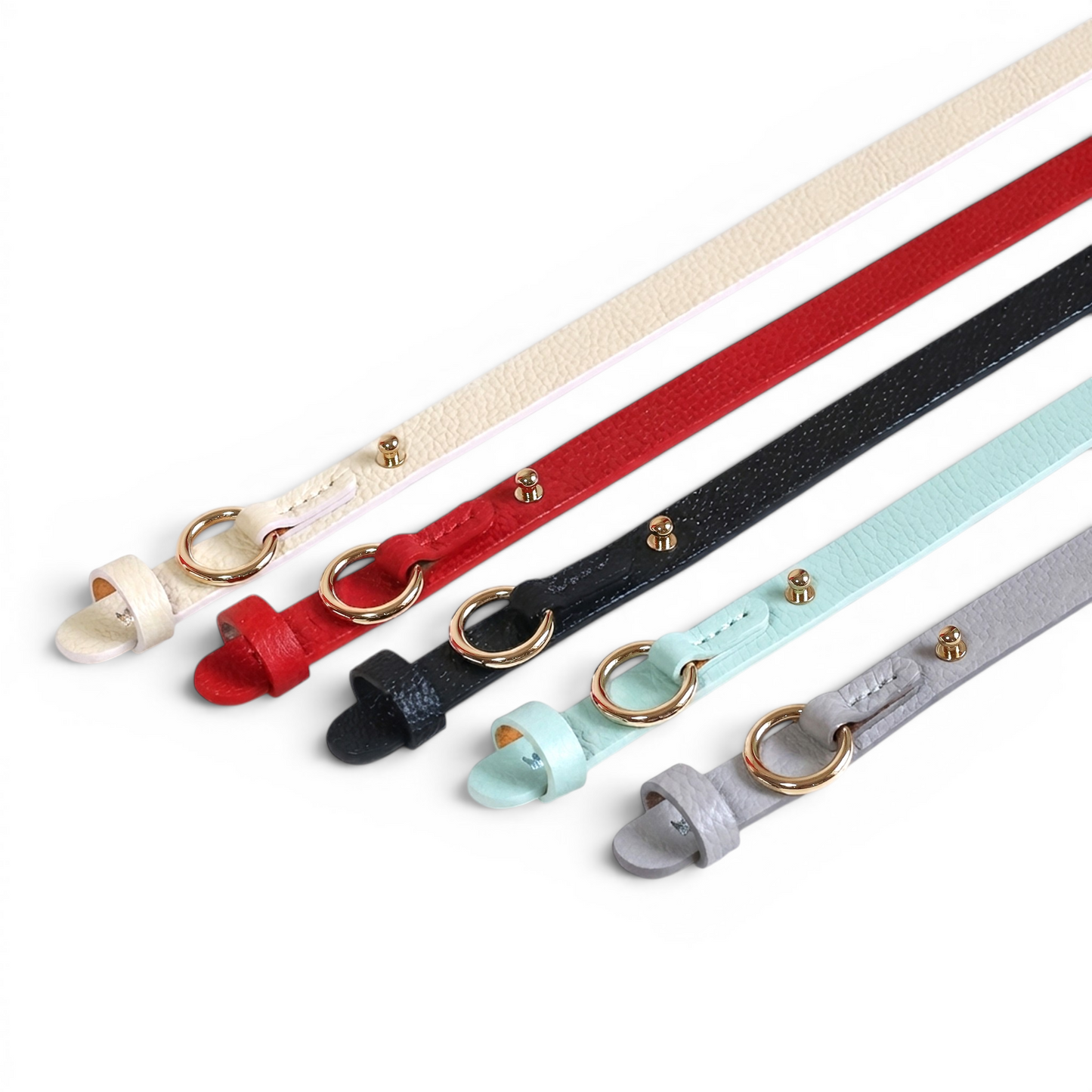 Belt 04