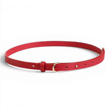 Belt 04